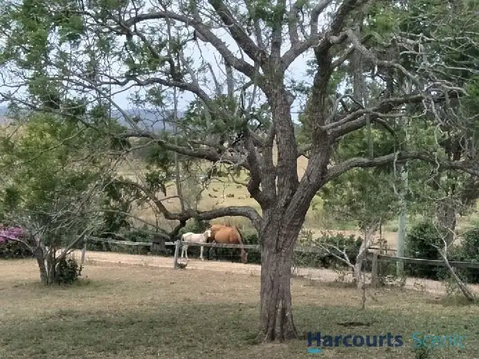 Fifth view of Homely rural property listing, 46 Boyland Road, Boyland QLD 4275