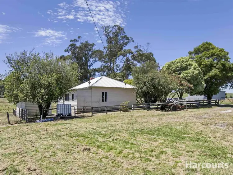Fourth view of Homely rural property listing, 175 Torwood Topiram Road, Hallora VIC 3818