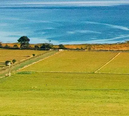 Fifth view of Homely land listing, 960 Windermere Road, Swan Bay TAS 7252