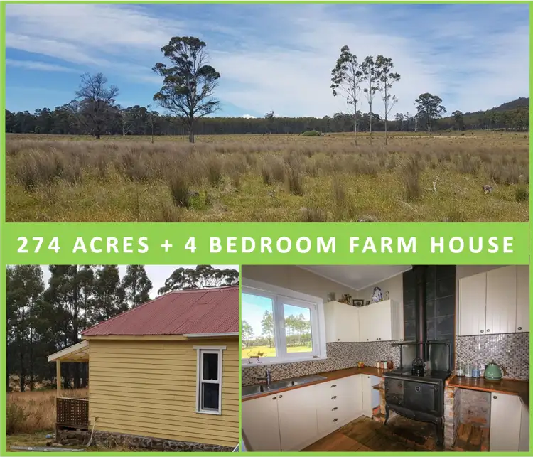 1329 Tower Hill Road, Mangana TAS 7214