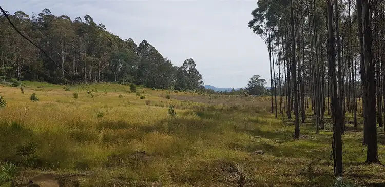 Second view of Homely rural property listing, 1329 Tower Hill Road, Mangana TAS 7214