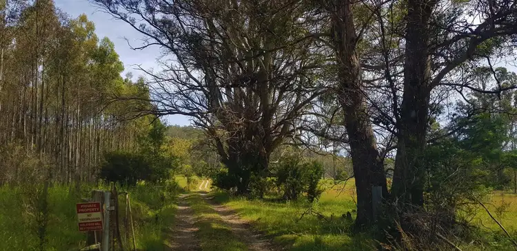 Seventh view of Homely rural property listing, 1329 Tower Hill Road, Mangana TAS 7214