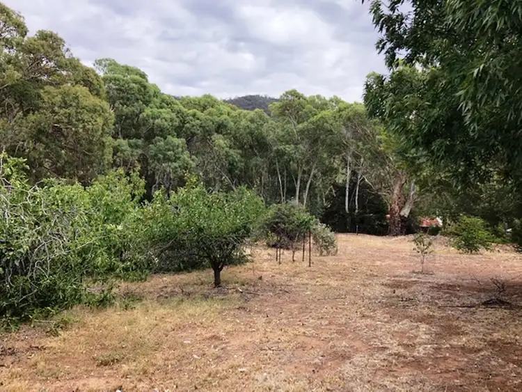 Seventh view of Homely house listing, 34-36 Mount, Melrose SA 5483