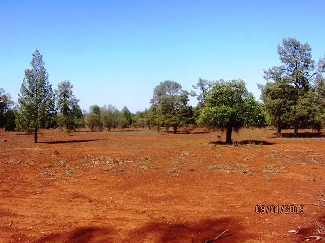 Sixth view of Homely rural property listing, * Illewong, Cobar NSW 2835