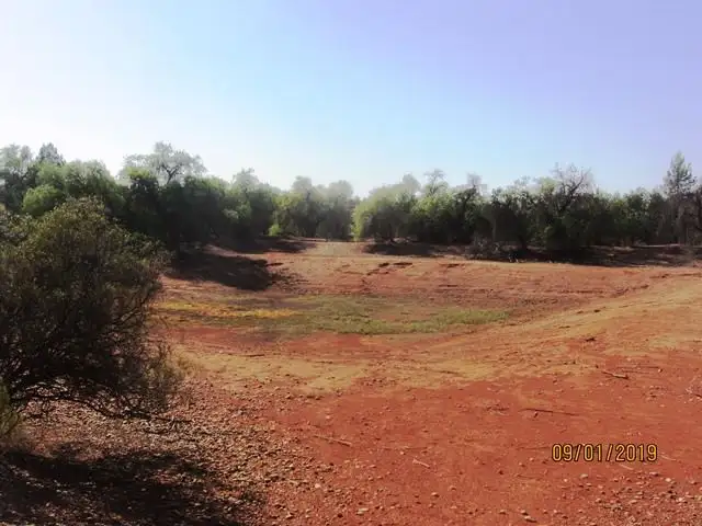 Seventh view of Homely rural property listing, * Illewong, Cobar NSW 2835