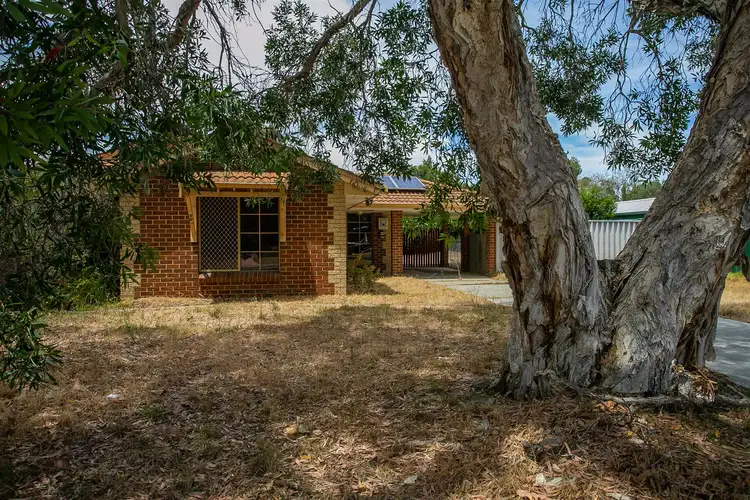 12 Fabales Close, Beeliar WA 6164