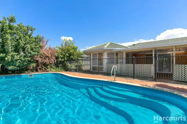 59 Bowerbird Avenue, Eli Waters QLD 4655