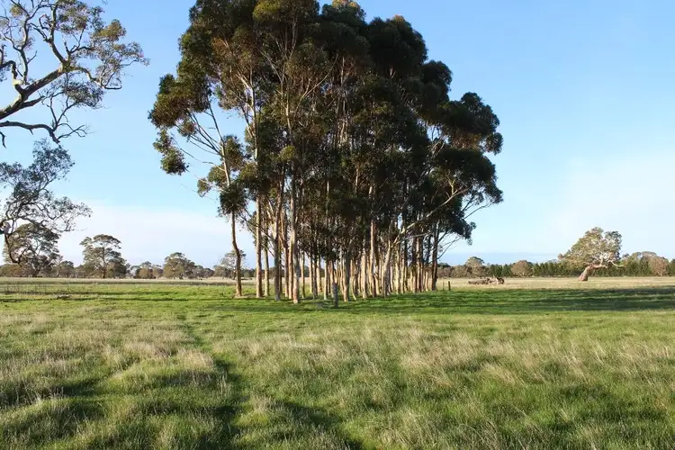 Sixth view of Homely rural property listing, 000 Blackwood-Dunkeld Road, Dunkeld VIC 3294
