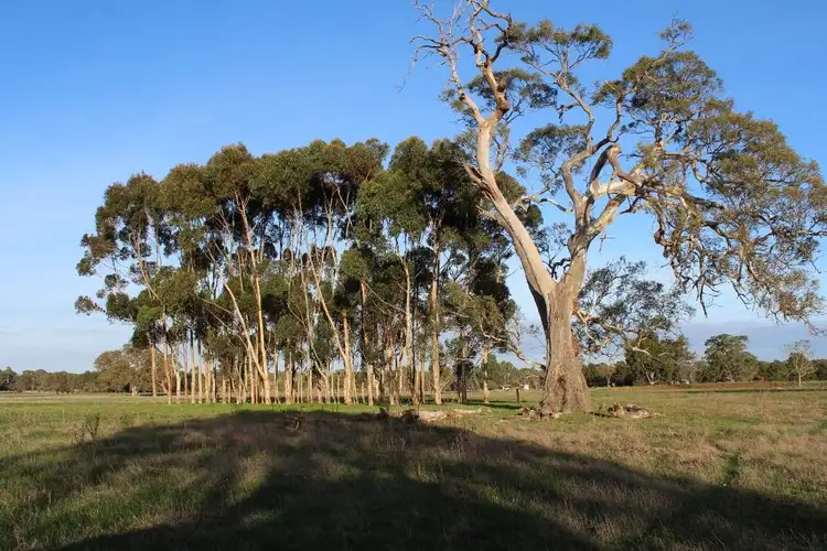 Seventh view of Homely rural property listing, 000 Blackwood-Dunkeld Road, Dunkeld VIC 3294