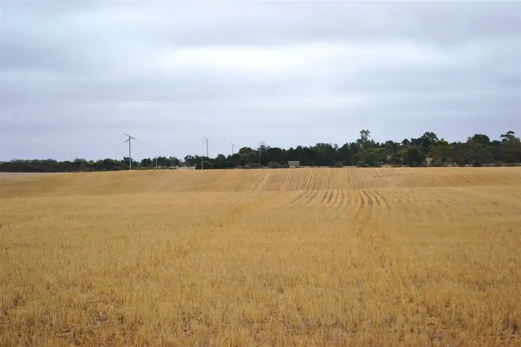 Main view of Homely rural property listing, 354 Balaklava Road, Balaklava SA 5461