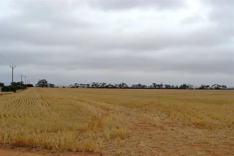 Second view of Homely rural property listing, 354 Balaklava Road, Balaklava SA 5461