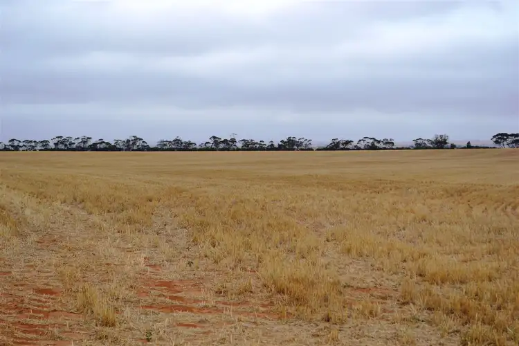 Third view of Homely rural property listing, 354 Balaklava Road, Balaklava SA 5461