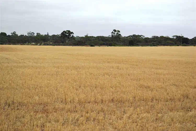 Fourth view of Homely rural property listing, 354 Balaklava Road, Balaklava SA 5461