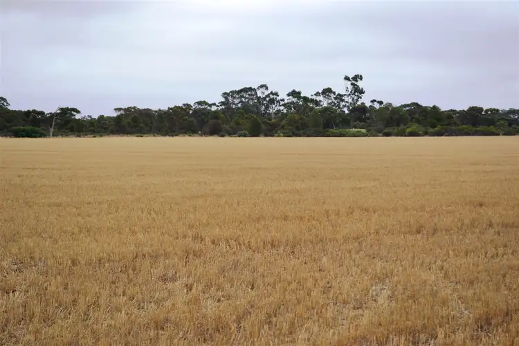 Fifth view of Homely rural property listing, 354 Balaklava Road, Balaklava SA 5461
