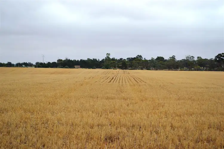 Sixth view of Homely rural property listing, 354 Balaklava Road, Balaklava SA 5461