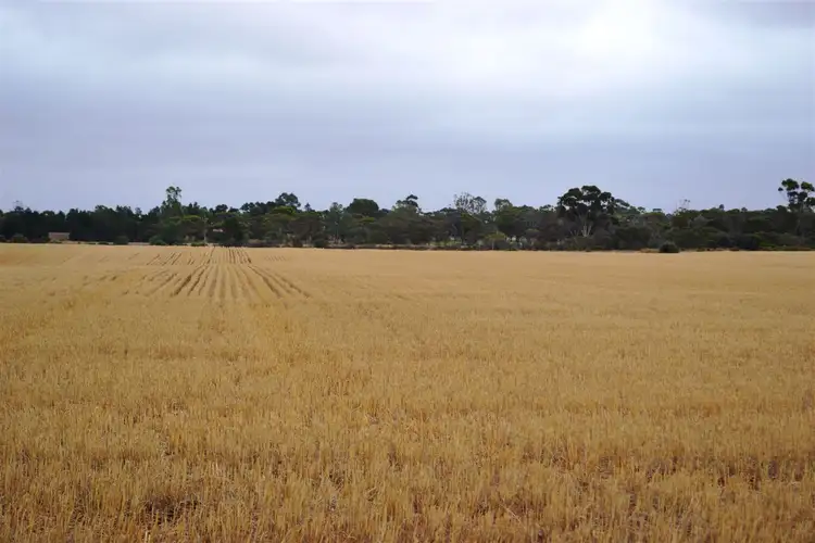 Seventh view of Homely rural property listing, 354 Balaklava Road, Balaklava SA 5461