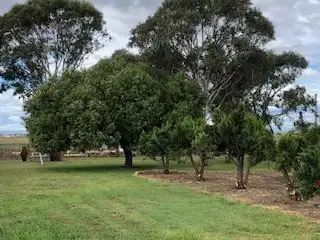 Third view of Homely rural property listing, 928 Felton Clifton Rd, Nobby QLD 4360