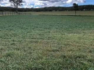 Fifth view of Homely rural property listing, 928 Felton Clifton Rd, Nobby QLD 4360