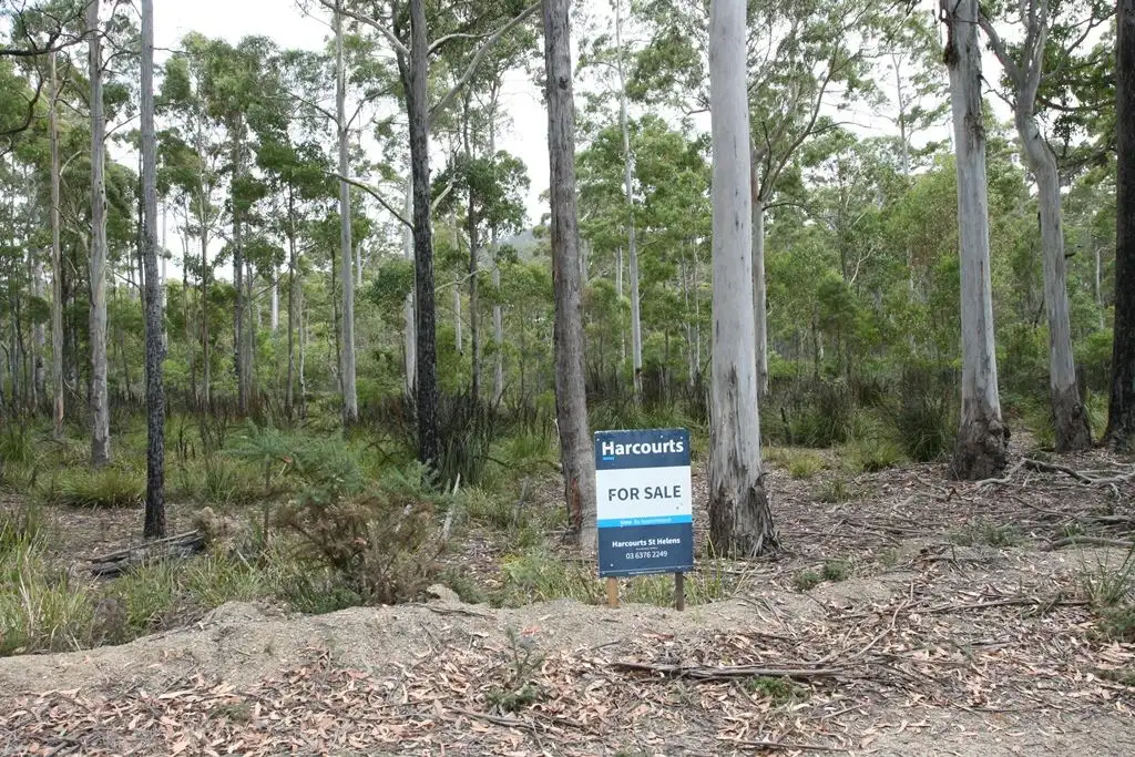 Main view of Homely land listing, Part of 205 Richardson Road, St Marys TAS 7215