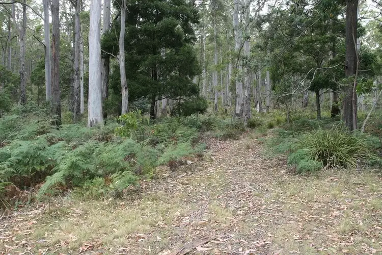 Fourth view of Homely land listing, Part of 205 Richardson Road, St Marys TAS 7215