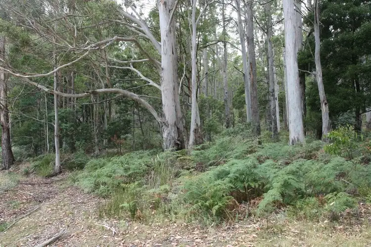 Fifth view of Homely land listing, Part of 205 Richardson Road, St Marys TAS 7215