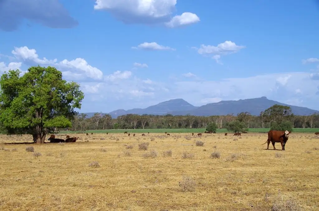 Main view of Homely rural property listing, 788 Couradda Road, Edgeroi NSW 2390