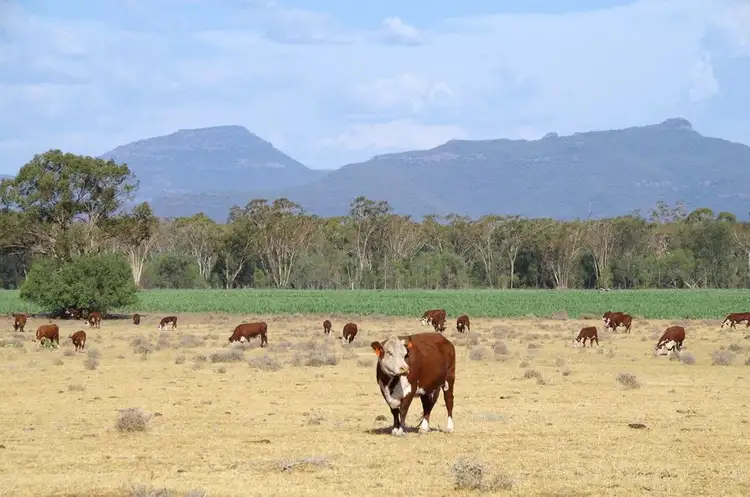 Second view of Homely rural property listing, 788 Couradda Road, Edgeroi NSW 2390