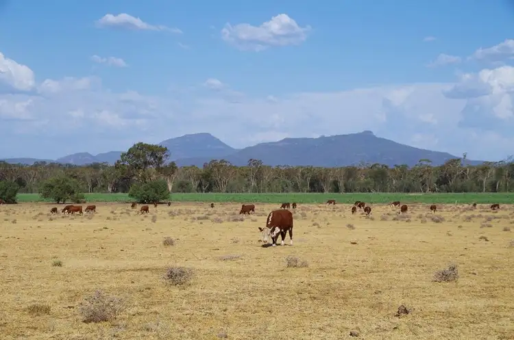 Fifth view of Homely rural property listing, 788 Couradda Road, Edgeroi NSW 2390
