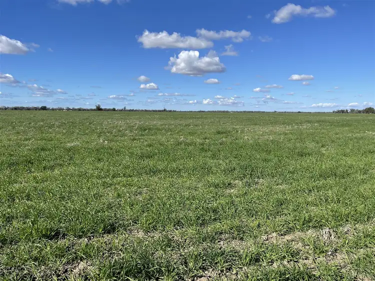 Third view of Homely rural property listing, 'Merriwee' 1262 Floddenfield Road, Coonamble NSW 2829
