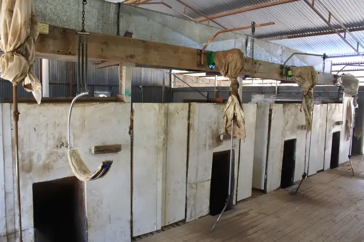 Sixth view of Homely rural property listing, 'Merriwee' 1262 Floddenfield Road, Coonamble NSW 2829