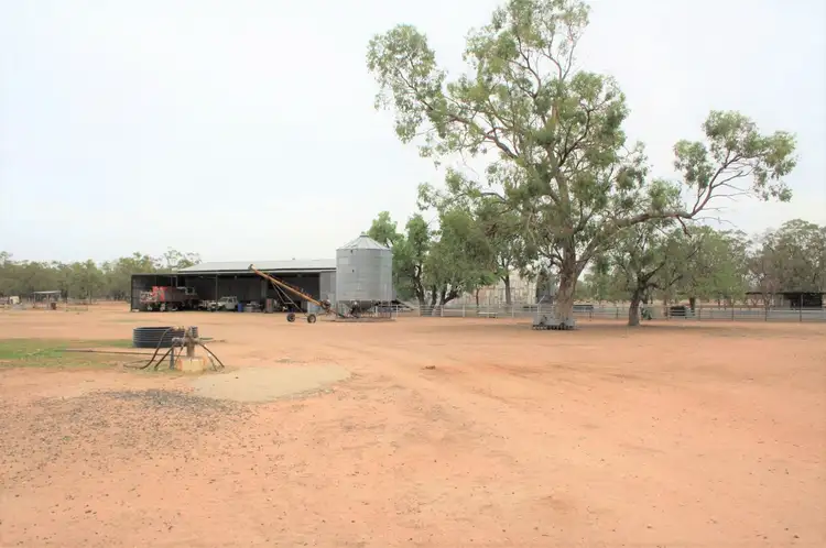 Seventh view of Homely rural property listing, 'Merriwee' 1262 Floddenfield Road, Coonamble NSW 2829