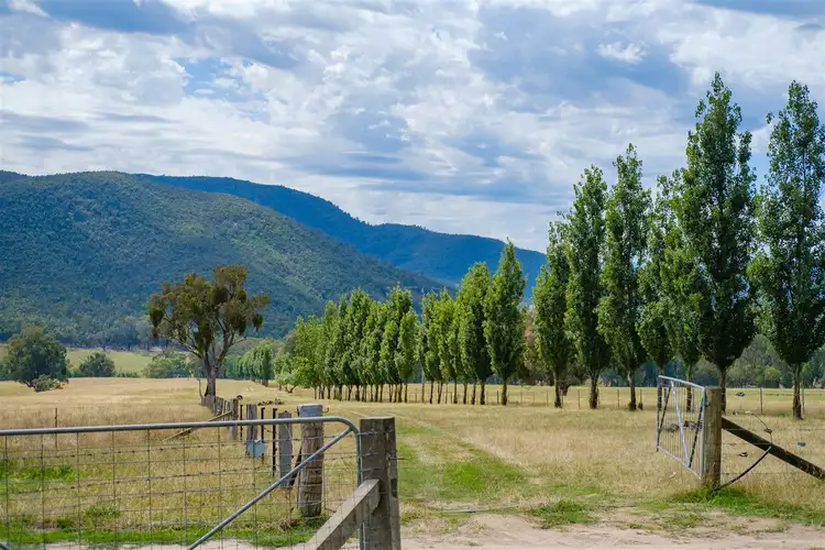 Second view of Homely rural property listing, 0 Carrolls, Mudgegonga VIC 3737