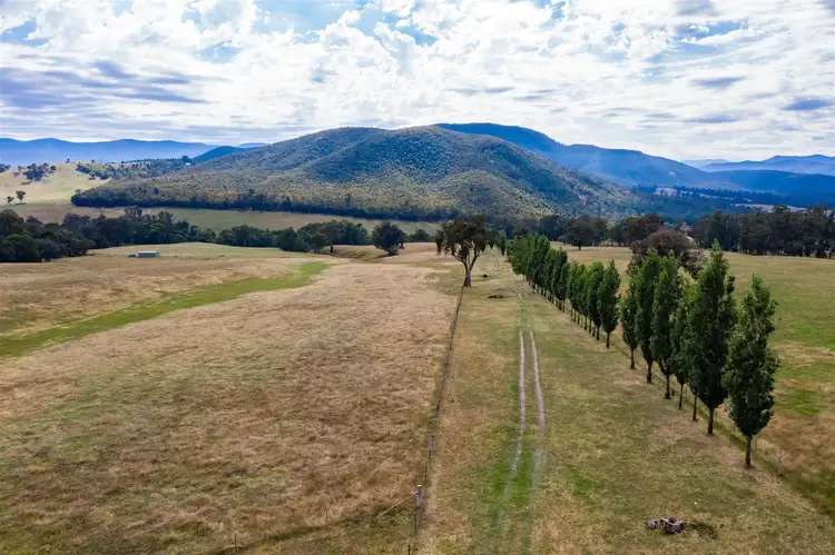 Third view of Homely rural property listing, 0 Carrolls, Mudgegonga VIC 3737