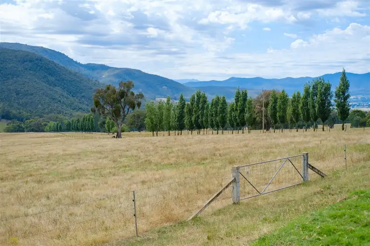 Fifth view of Homely rural property listing, 0 Carrolls, Mudgegonga VIC 3737