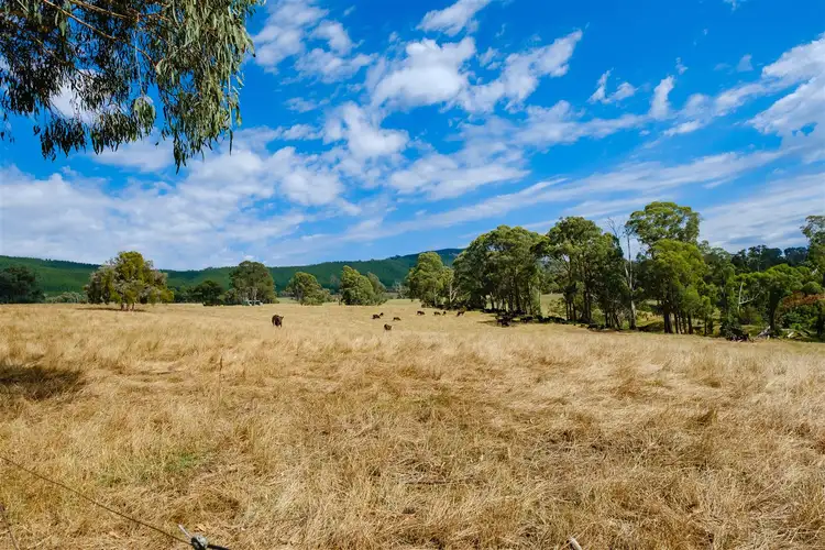Seventh view of Homely rural property listing, 0 Carrolls, Mudgegonga VIC 3737