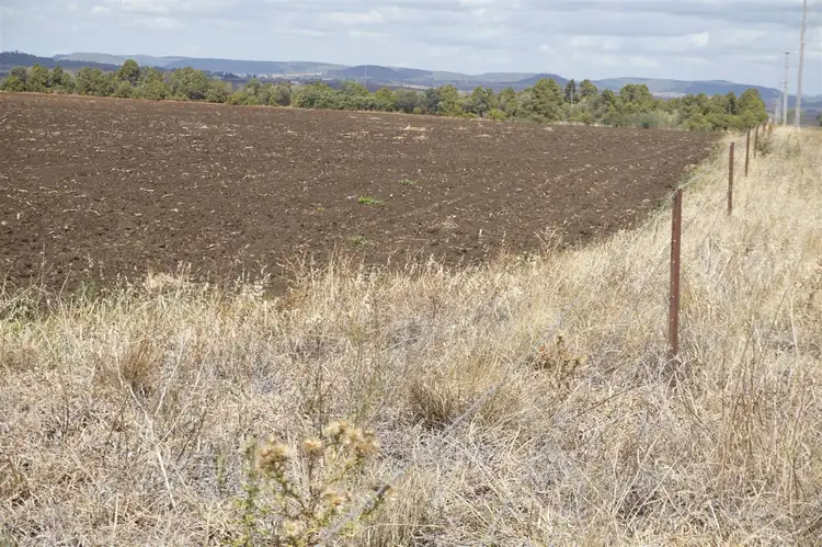 Fifth view of Homely rural property listing, 42 Bellview Road, Clifton QLD 4361