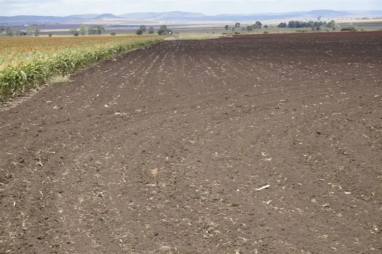 Sixth view of Homely rural property listing, 42 Bellview Road, Clifton QLD 4361