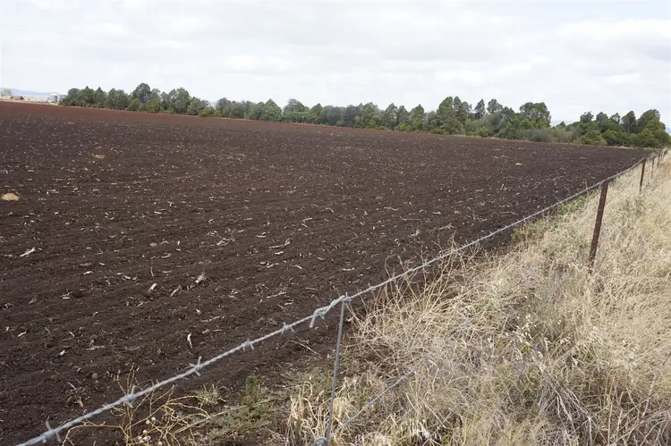 Seventh view of Homely rural property listing, 42 Bellview Road, Clifton QLD 4361