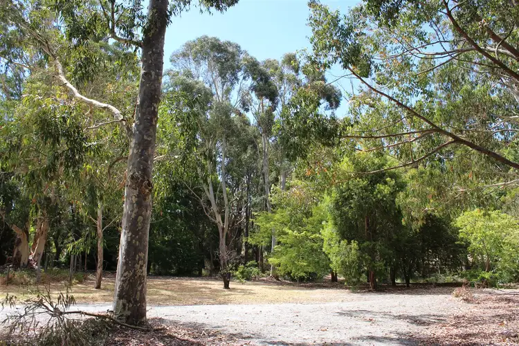 Main view of Homely house listing, 1537 Millbrook Road, King River WA 6330
