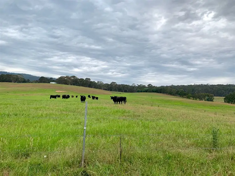 Second view of Homely rural property listing, 4695 Cooma Road, Wyanbene via, Braidwood NSW 2622