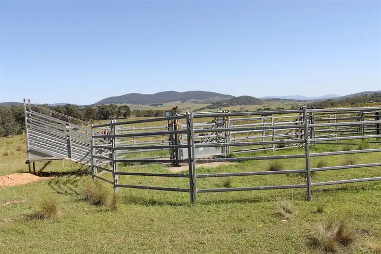 Sixth view of Homely rural property listing, 4695 Cooma Road, Wyanbene via, Braidwood NSW 2622