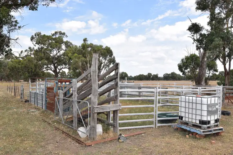 Second view of Homely rural property listing, 186 Foster Road, Boorhaman VIC 3678