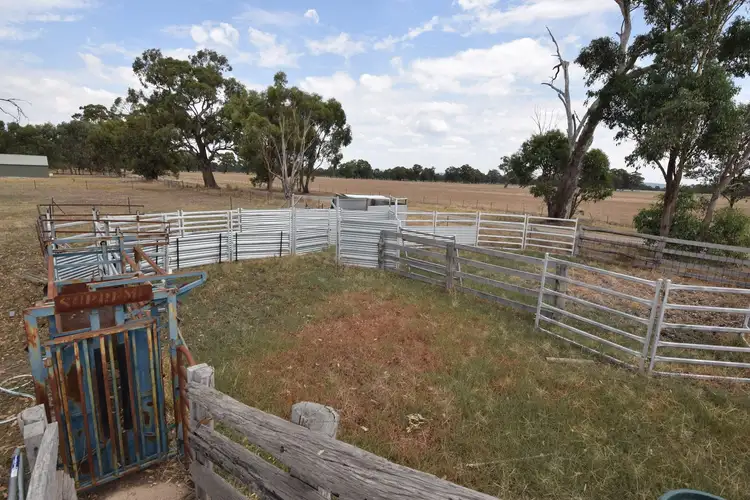 Third view of Homely rural property listing, 186 Foster Road, Boorhaman VIC 3678