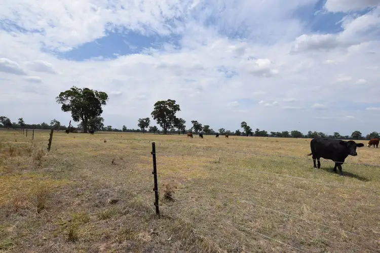 Seventh view of Homely rural property listing, 186 Foster Road, Boorhaman VIC 3678