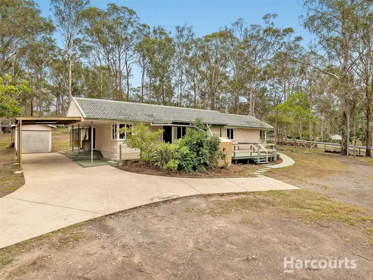 Second view of Homely rural property listing, 6 Sandra Ct, Kurwongbah QLD 4503