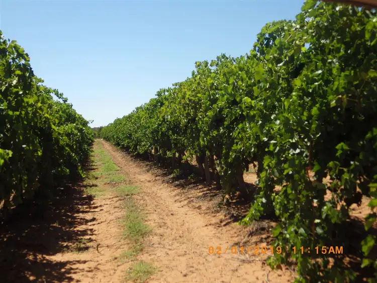 Second view of Homely rural property listing, A2 Distillery Road, Monash SA 5342