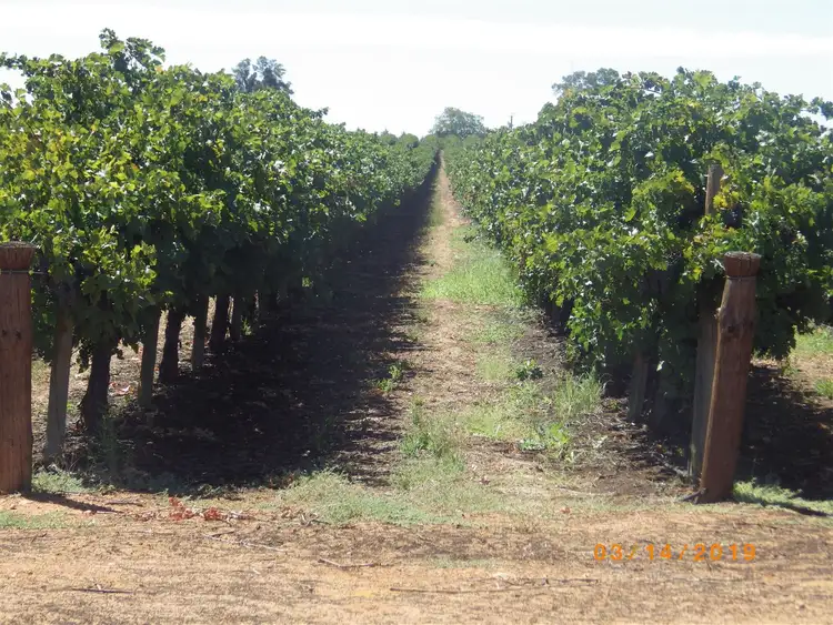 Third view of Homely rural property listing, A2 Distillery Road, Monash SA 5342