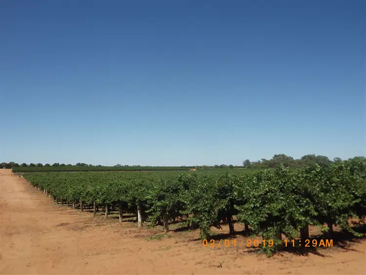 Fourth view of Homely rural property listing, A2 Distillery Road, Monash SA 5342