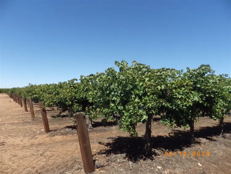 Fifth view of Homely rural property listing, A2 Distillery Road, Monash SA 5342