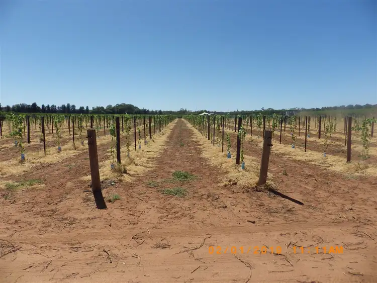 Sixth view of Homely rural property listing, A2 Distillery Road, Monash SA 5342